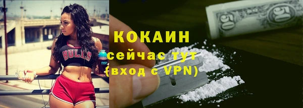стаф Балахна