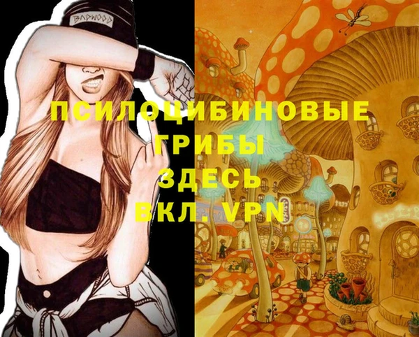 стафф Армянск