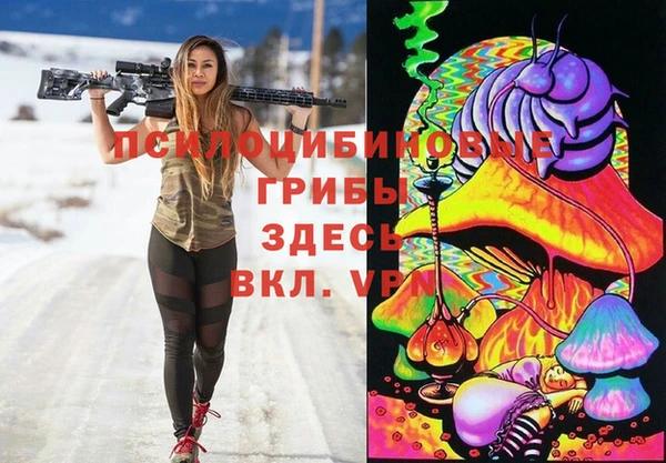стаф Балахна